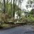 Sarasota Storm Damage Cleanup by 941 Tree Services LLC